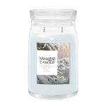 SNOW KISSED PINE